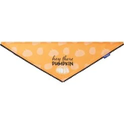 Frisco Hey There Pumpkin Dog & Cat Bandana -Frisco 706374 PT3. AC SS1800 V1689282446