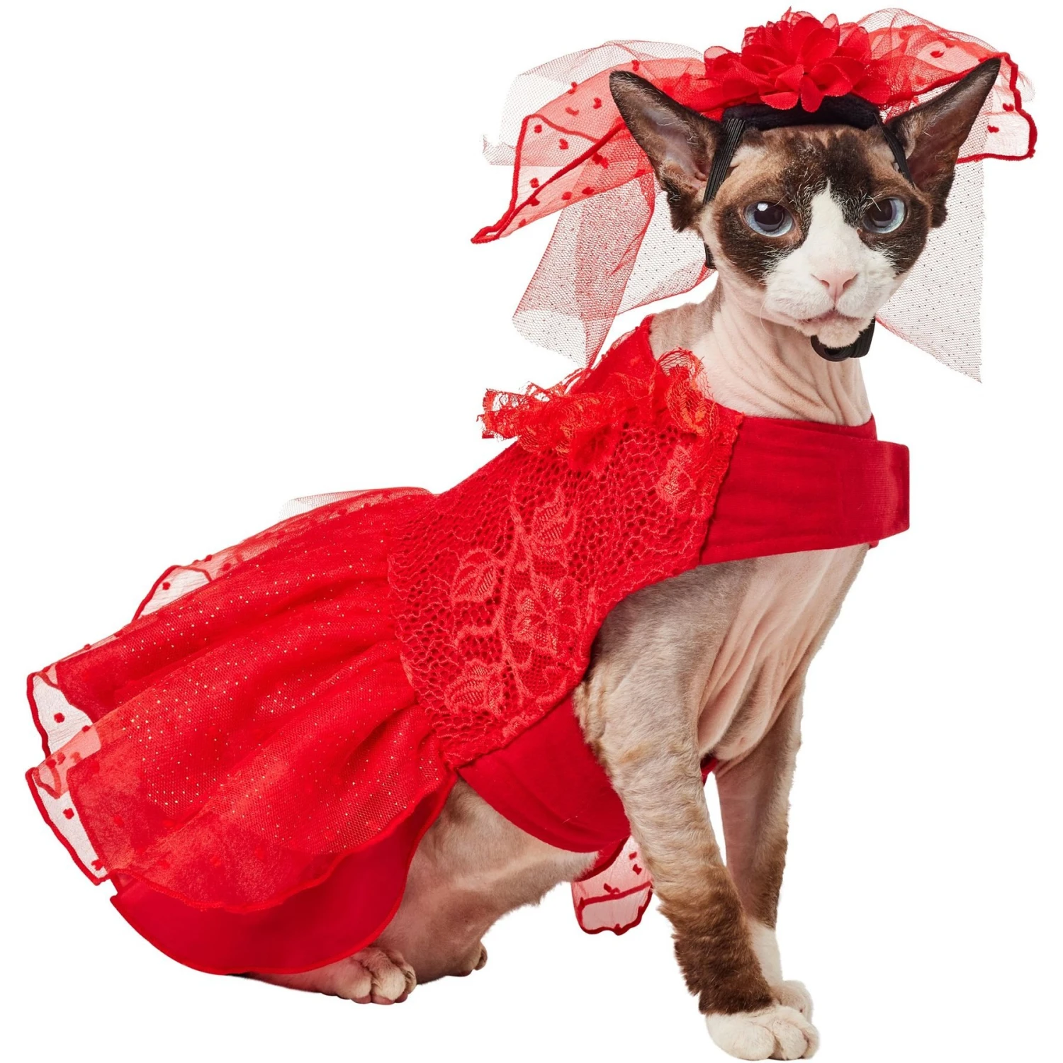 Frisco Red Ruffle Dog & Cat Dress + Headpiece 3 Frisco Red Ruffle Dog & Cat Dress + Headpiece