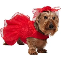 Frisco Red Ruffle Dog & Cat Dress + Headpiece 12 Frisco Red Ruffle Dog & Cat Dress + Headpiece -Frisco 707286 PT2. AC SS1800 V1689355022