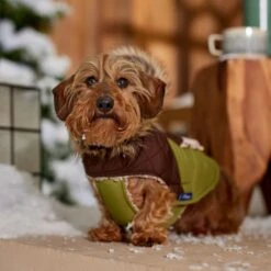 Frisco Heavy Weight 2-Tone Sherpa Lined Hybrid Quilted Dog & Cat Parka 18 Frisco Heavy Weight 2-Tone Sherpa Lined Hybrid Quilted Dog & Cat Parka -Frisco 718038 PT7. AC SS1800 V1692378337