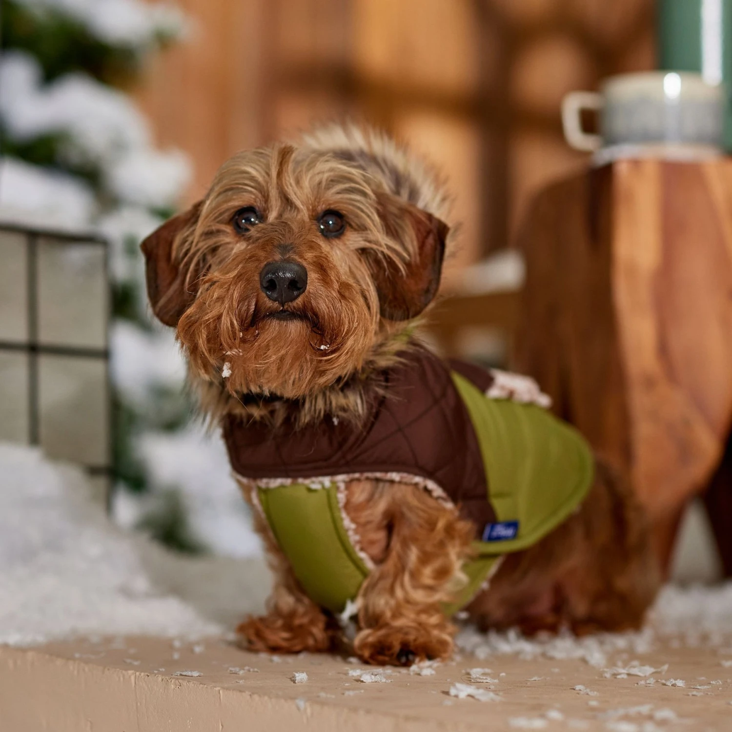 Frisco Heavy Weight 2-Tone Sherpa Lined Hybrid Quilted Dog & Cat Parka 10 Frisco Heavy Weight 2-Tone Sherpa Lined Hybrid Quilted Dog & Cat Parka - Image 8