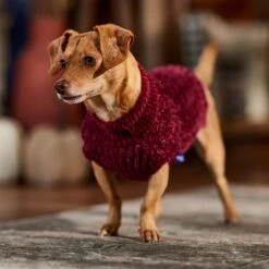Frisco Cozy Textured Chenille Dog & Cat Sweater 16 Frisco Cozy Textured Chenille Dog & Cat Sweater -Frisco 718614 PT7. AC SS1800 V1692378337