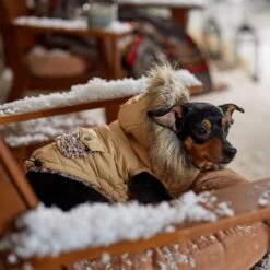 Frisco Heavy Weight Matte Quilted Dog & Cat Parka With Cozy Fleece Lining -Frisco 719654 PT7. AC SS1800 V1692376037