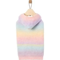 Frisco Soft Multi Stripe Ombre Dog & Cat Hooded Sweater -Frisco 742838 PT3. AC SS1800 V1693233982