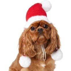 Frisco Chunky Knit Santa Dog & Cat Hat 11 Frisco Chunky Knit Santa Dog & Cat Hat -Frisco 744878 PT2. AC SS1800 V1694812755