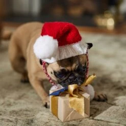 Frisco Chunky Knit Santa Dog & Cat Hat 14 Frisco Chunky Knit Santa Dog & Cat Hat -Frisco 744878 PT5. AC SS1800 V1694793814