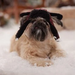 Frisco Tartan Plaid Dog & Cat Trapper Hat 14 Frisco Tartan Plaid Dog & Cat Trapper Hat -Frisco 746750 PT5. AC SS1800 V1694800749