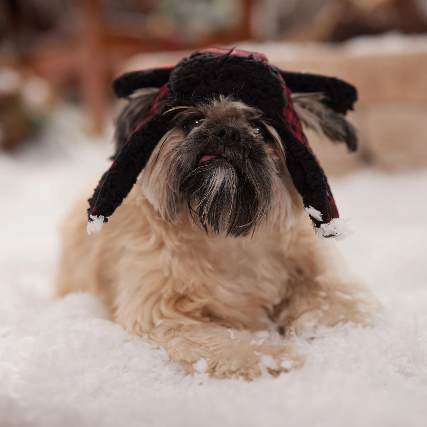 Frisco Tartan Plaid Dog & Cat Trapper Hat 8 Frisco Tartan Plaid Dog & Cat Trapper Hat - Image 6