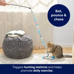 Frisco Fabric Teaser Wand Cat Toy & Frisco Bird With Feathers Teaser Wand Cat Toy With Catnip -Frisco 962094 PT3. AC SS1800 V1694782977