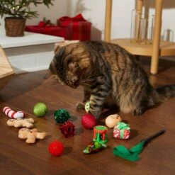 Frisco Holiday Festive Red Variety Pack Gift Box Cat Toy With Catnip, 14 Count & Frisco Holiday Mice Cat Toy With Catnip, 5 Count -Frisco 986270 PT4. AC SS1800 V1698258464