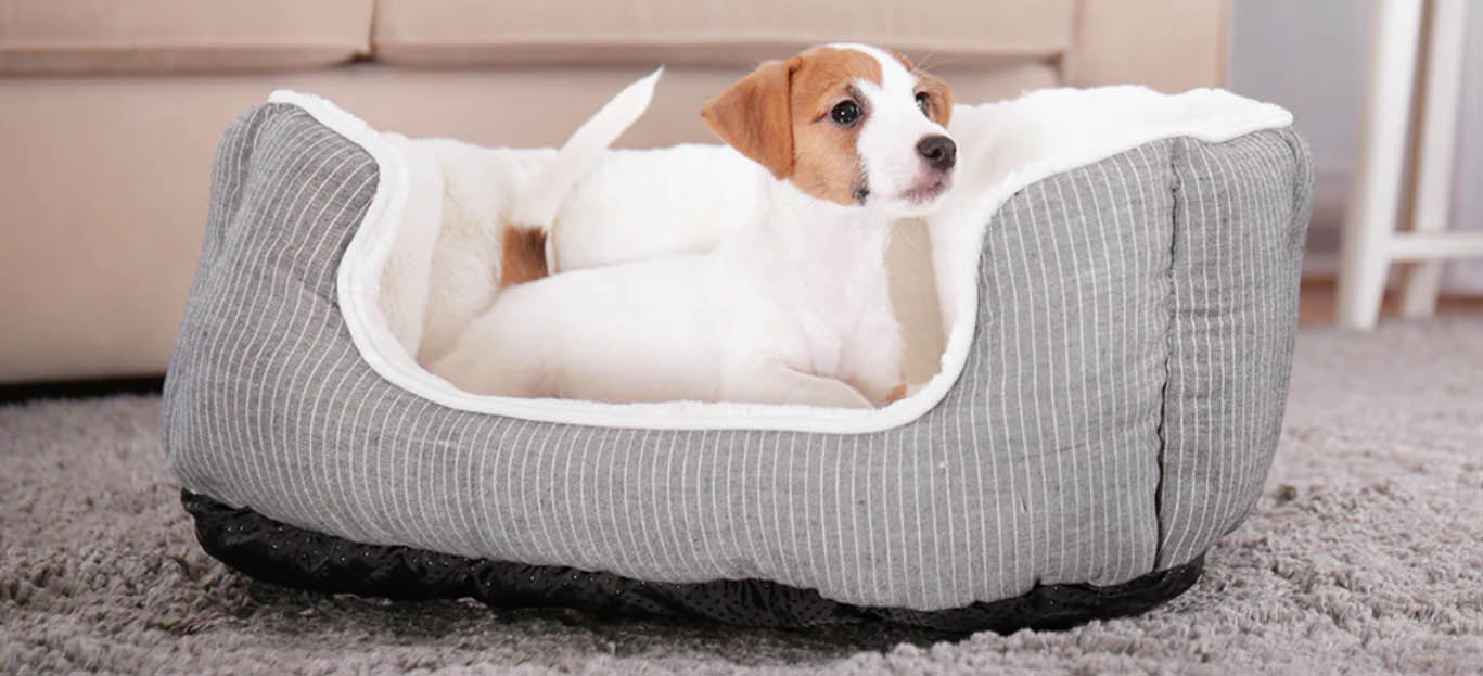 Frisco -Frisco fghjfgh